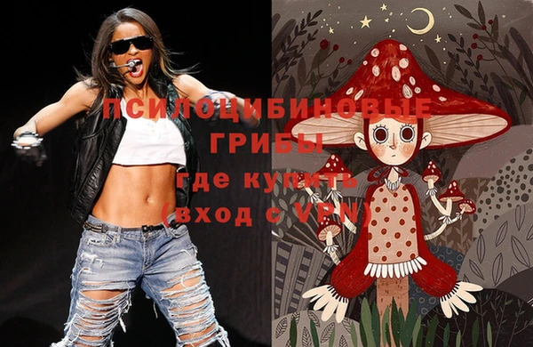 дмт Белокуриха