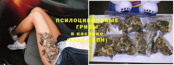 дмт Белокуриха