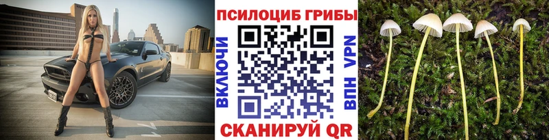 Псилоцибиновые грибы Psilocybine cubensis  ОМГ ОМГ вход  Пестово 